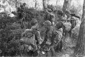 154 - ARMEE DE L'AIR EN ALGERIE 1945-1962-2 (62)